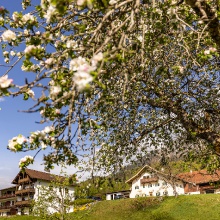 Frühling am Gablehof