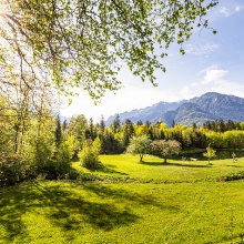 Frühling im Garten